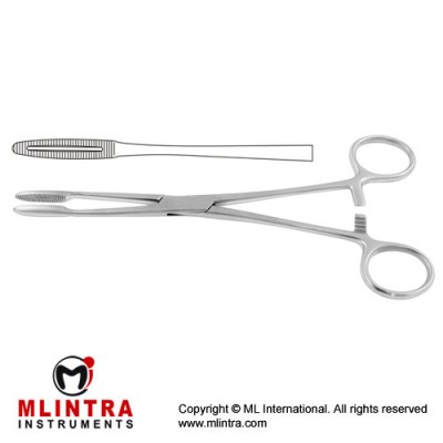 Gross-Maier Dressing Forcep Straight - With Ratchet Stainless Steel, 22 cm - 8 3/4"